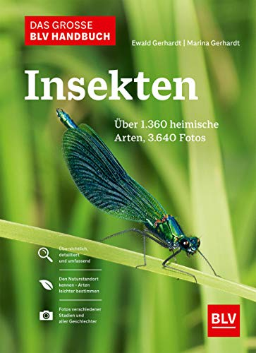 Das große BLV Handbuch Insekten: Über 1360 heimische Arten, 3640 Fotos (BLV Insekten)
