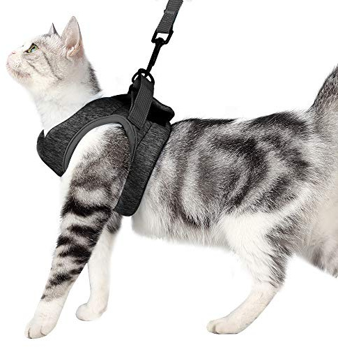 LIANZIMAU Set di Pettorina e guinzaglio per Gatti, Ultra Leggero per Passeggiate, a Prova di Fuga, Regolabile, in Morbida Rete, Imbottita, per Gattini, Animali Domestici, Cuccioli