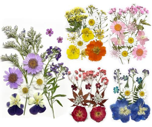 Bmeigo 5 Pack Dried Pressed Flowers for Crafts, Real Pressed Flowers Mixed Natural Leaves Herbs Bulk Petals for Scrapbooking, Resin, Candle, Jewelry Making, Nails Decor, DIY, Floral Art Decorations
