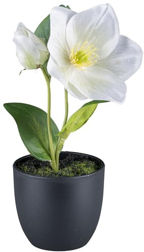 Kunstblume CHRISTROSE Schneerose, mit Blüte und Knospe im Topf. Ca 19cm. Weiß, WEISS