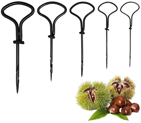 5 pezzi viti manuali per legno e castagne, mini punte a mano da 1,5 mm a 5 mm, strumento di perforazione manuale per fai da te per bambini fai da te autunnale creazioni artigianali fori sicuri