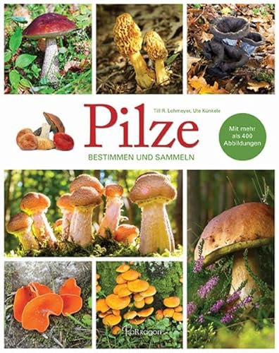 Pilze - Bestimmen und Sammeln: Mit mehr als 400 Abbildungen