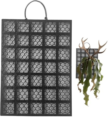 Geweihfarn-Pflanzbrett – Vertikales Metall-Pflanzengestell Für Die Wand, Pflanzengestell Für Orchideen, Platycerium-Orchideen-Dekoration Für Innen- Und Außenbereich, Garten, Balkon