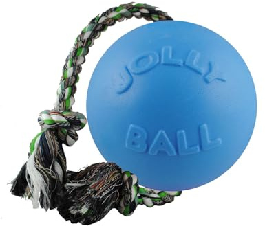 Jolly Pets Romp-n-Roll Rope and Ball Dog Toy, 6 Inches/Medium, Blueberry, Model Number: 606 BB, All Breed Sizes