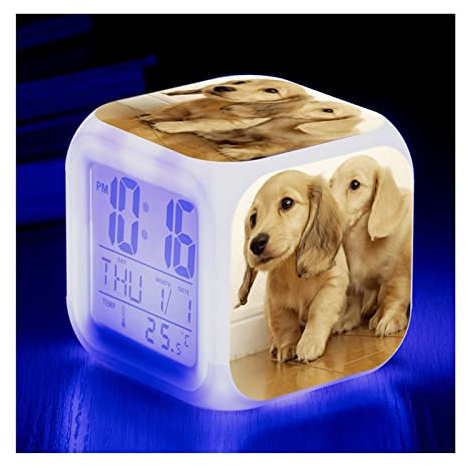 DSKYLODY Despertador Inteligente Infantil Perro Animal NiñOs Regalos Despertador con Cambio de Color Colorido Luces Que Crean un Lindo Ambiente (Color : T)