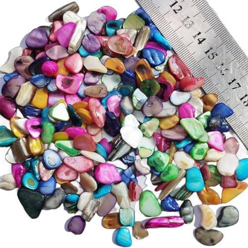 HSTWODE Conchiglie decorative colorate, pietre a mosaico, 100 g/500 g, conchiglie colorate per fai da te, per bricolage, bicchieri da pesce, decorazioni per la casa (miste, 500 g)