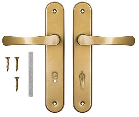 ADGO Poignée de Porte pour 72 Portes de WC - en Biscuit - Gauche et Droite - Plaque Longue en Aluminium - pour Porte de Toilettes - Poignée de Porte (doré)