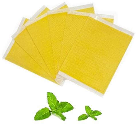 Patch Fujimint, cerotti naturali alla menta giapponese con addome a base di erbe, toppe giapponesi alla menta giapponese, toppe naturali per addome a base di erbe (30pcs)