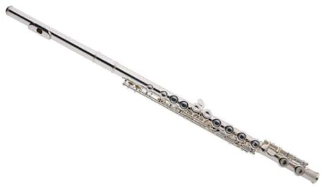 tvärflöjt instrument Nybörjarflöjt Professional Practice Flöjt