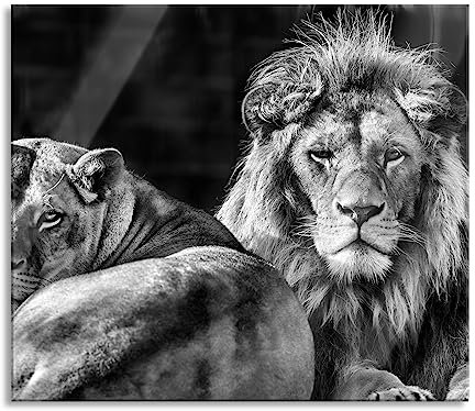 Pixxprint Jolie plaque de recouvrement de plaque de cuisson et protection anti-éclaboussures en verre véritable - Pour plaques de cuisson - 60 x 52 cm