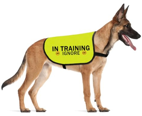 CENWA Training Ignore Dog Jacket Vest for Nervous Anxious Dogs - Slogan Warning Vest (M)