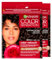 Garnier Color Sensation Color Retouch Permanente Haarfärbung, deckt 100 % weißes Haar ab, einfache Anwendung, Dunkelbraun – 2 Farben