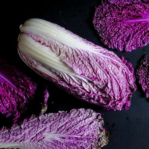 Semillas de col china - Semillas de Pak Choi - exóticas semillas de variedades antiguas cubierta vegetal perenne 150pcs