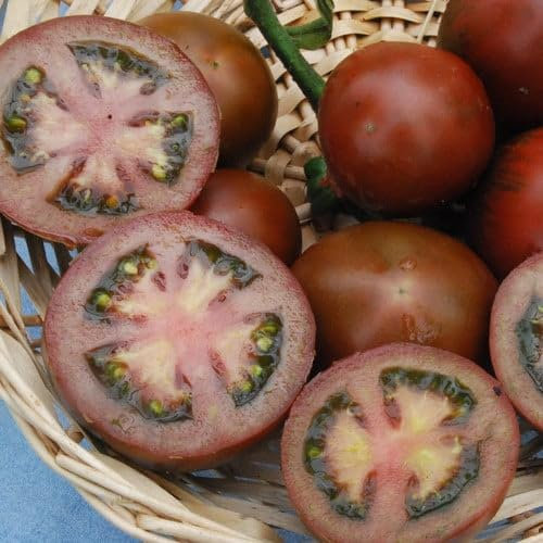 Plant World Seeds - Tomato Russian Black Seeds (Tomato Seeds)