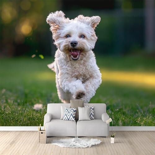 Perro Maltés Natural Mural de papel tapiz, murales decorativos premium no tejidos, Blanco Verde Papel tapiz fotográfico para decoración de paredes del hogar 200 x 140 cm