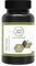 CODE VITAL ® ProktoVen Gefäß-Komplex | OPC Traubenkernextrakt hochdosiert mit 285 mg reinem OPC | Für Blutgefäße, Beinvenen, Haut & Bindegewebe | Made in Austria | Pflanzlich & vegan | 90 Kapseln