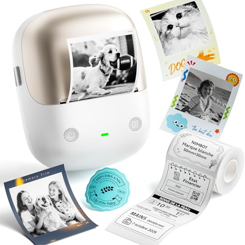 NIIMBOT B2Pro Étiqueteuse 300 DPI, imprimante étiquettes sans Encre