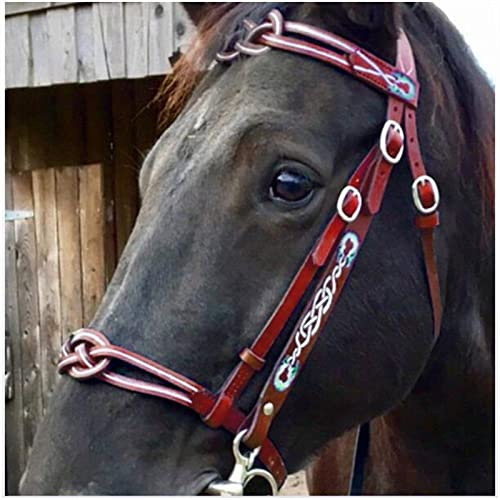 Briglie da cavallo in pelle, morbide e comode, con redini equestri di dimensioni regolabili con fibbia in metallo per cavalli, attrezzatura da allenamento (rosso)