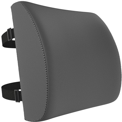 FORTEM Cuscino Lombare Sedia Ufficio, Supporto Lombare Auto, Cuscino Schiena, Schienale Sedia Ufficio Ergonomico in Memory Foam, Fodera Traspirante e Lavabile, Cinghia Regolabile, per Gaming e Lavoro