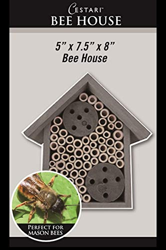 Cestari Bamboo Tube Bee Hotel for Solitary Bees - Attract Gentle Pollinators to Your Garden with a Safe, FSC Certified Wooden Bee Home