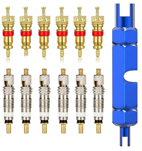 FUZVOL 13 PCS Valve Core Remover Tool Kit with Replacement Presta and Schrader Valve Core,Valve Core Remover Tool Repairing Tyre for Universal Car,Bike and Motocycle