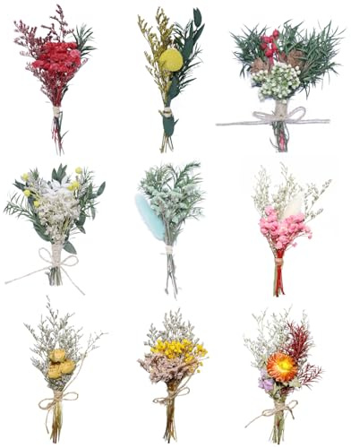 TooGet 9Pcs Mini Ramos de Flores Secas Real Pequeño Ramo Floral Boho Flores Secas Naturales para Bricolaje Artesanías Torta Embalaje Regalo Decoración de Boda y Decoraciones para el Hogar