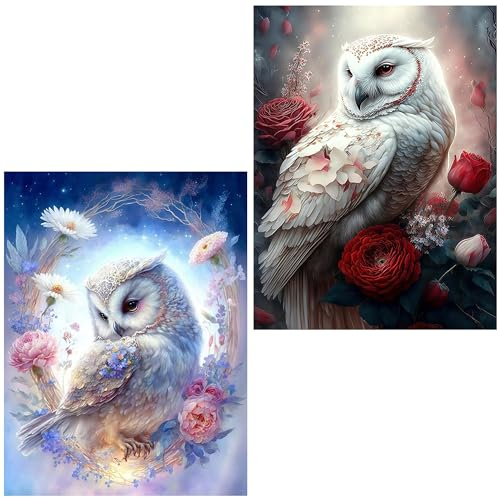 2 Stück Diamond Painting Erwachsene-Eule 5D Diamant Painting Bilder Erwachsene,Tiere Diamond Painting Set DIY Personalisiert Basteln Bilder Dekorationen für Home Wand Décor(2er set,30x40cm)