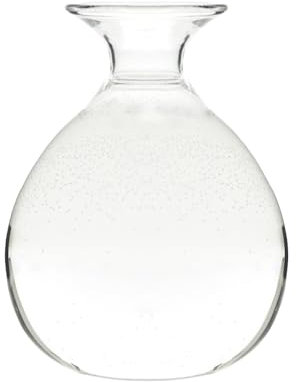 Vase en verre - Pot de fleurs hydroponique de table - Pot de culture d'avocat transparent - Pot de vase résistant à la chaleur pour décoration de table à la maison - 12 x 10 x 4,5 cm