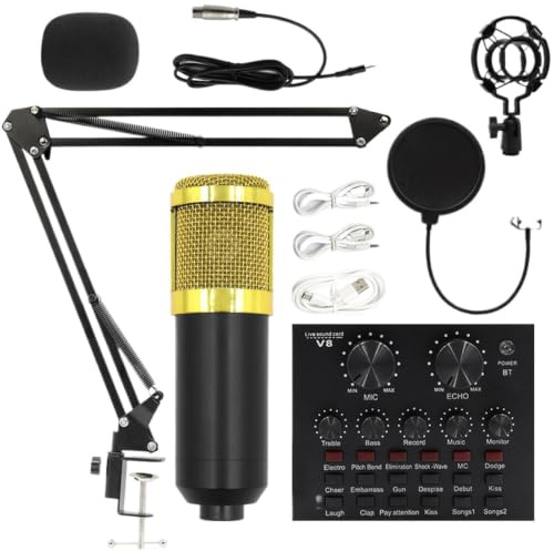 Attrezzatura per studio di registrazione | Set microfono a condensatore professionale | Fornisce forniture per studi di registrazione, kit di streaming live intuitivo | per conduttori, cantanti