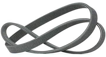 DAYCO 6DPK1215 Riemen