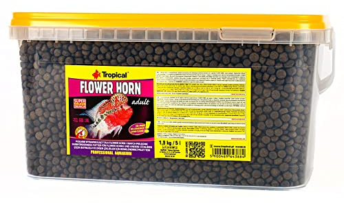 FLOWER HORN ADULT PELLET 5L / 1,9kg - Mangime per intensificare i colori dei flowerhorn e di altri ciclidi