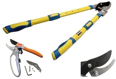 OXFORD - DE LUCA Set CESOIA da POTA Taglia Rami A CRICCHETTO + Forbice da POTA A CRICCHETTO