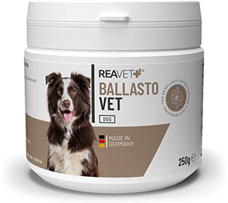 ReaVET BallastoVET für Hunde 250g – schnelle Unterstützung bei Verstopfungen beim Hund, bei akuten & chronischen Verstopfungen & festem KOT, Verdauungshilfe für Hunde, schnelle Hilfe bei Darmträgheit
