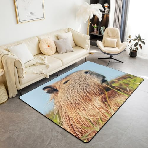 Erosebridal 3D Funny Capybara Area Rug for Bedside Classroom Cute Cartoon Capybara Carpet Rodent Aniamals Indoor Floor Mat Rustic Stlye Decorative Rug Non Shedding,Non Slip Washable 3x5