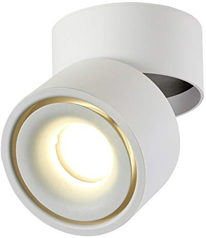 Dr.lazy Indoor 10W LED Spotlight 360°Adjustable Ceiling Spots Downlight/Surface Mounted COB Lighting LED/10X10CM/Aluminum Wall Lamp or Spot Light (White-4000K)