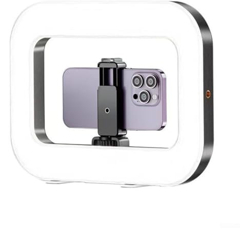 Getdoublerich Lumière de remplissage à main, rechargeable et portable pour selfie, remplissage à main réglable bicolore, anneau lumineux pour photographie de téléphone, maquillage