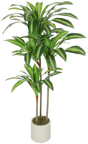 HOMCOM Pianta Artificiale di Dracena con Rami Orientabili e Vaso Contenitore Bianco in PP e Cemento, Pianta Verde in PEVA e Legno, per Interno ed Esterno, Giardino, Ufficio, Soggiorno, 60x40x120 cm