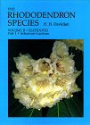 Rhododendron Species: Elepidotes, Series Arboreum-Lacteum (2): Vol II (The Rhododendron Species: Elepidotes (Arboreum - Lacteum))