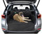 Bâche de voiture pour chien, imperméable et résistante, protection de voiture avec tissu Oxford en couches, système de fixation antidérapant – Idéal pour les voyages et les animaux de grande taille