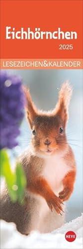 Eichhörnchen Lesezeichen & Kalender 2025: Süße kleine Aufmerksamkeit zu Weihnachten für Tierfreunde: Niedliche Eichhörnchenfotos, praktischer kleiner ... in einem! (Lesezeichen & Kalender Heye)