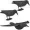 WELLGRO 3 x Vogelschreck - 2 x Krähe sitzend & 1 x Krähe fliegend - Kunststoff, schwarz