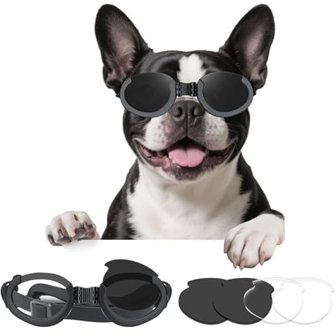 BillionChains Dog Goggles with Replaceable Lens Eye Protection Dog Sunglasses for Small to Medium Breed for Outdoor Riding/Driving/Walking/Surgery Recovery