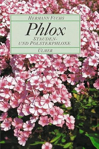 Phlox: Stauden- und Polsterphloxe