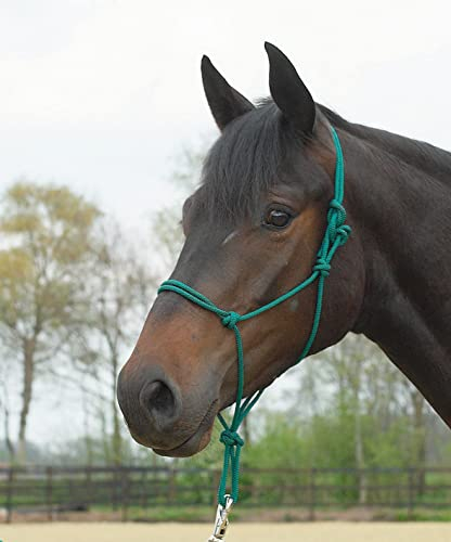 Knotenhalfter STANDARD