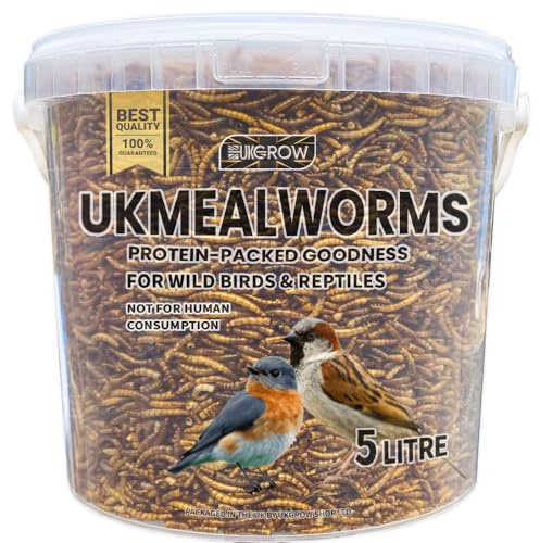 UKGROW Mealworms for Wild Birds - 5L Strong resuable Tub| Premium Bird Food Mealworms | Nutritious Dried Mealworms for Birds