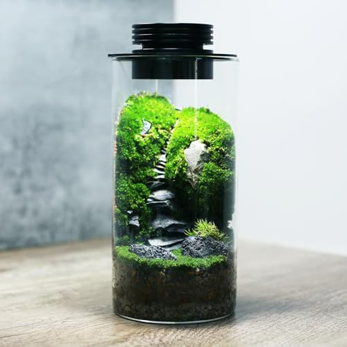 AREPK Desktop Glass Plant Terrarium with Grow Light (H:7.8 D:4), for Succulent, Moss, Miniature Gardening Landscape, Betta Fish Tank, Office Home Decoration, Plant Lovers Gifts