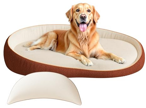 LELEFIDO Cuccia ortopedica XXL per cani con cuscino – Comodo divano per cani in memory foam, fodera rimovibile e lavabile – Cuccia per cani di grossa taglia, durevole e accogliente