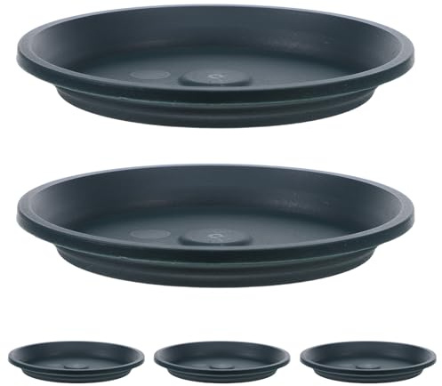 Gatuida 5 bandejas de Humedad para bonsáis: bandejas de Goteo, recogedores de Agua para Plantas, platillos para Interiores y Exteriores, Cactus, suculentas y bonsáis.