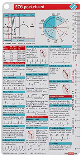 Borm Bruckmeier Publishing