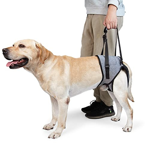 Dotoner Imbracatura per cani di sollevamento, imbracatura per cani per zampe posteriori, imbracatura morbida per cani disabili feriti di taglia piccola, media grande